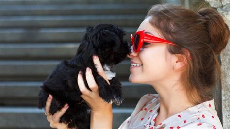 Do pets affect personality?