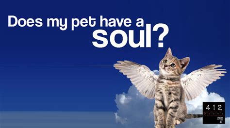 Do pets have souls and go to heaven?