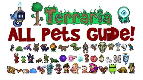 Do pets help you in Terraria?