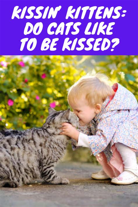 Do pets like to be kissed?