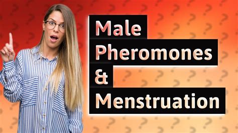 Do pheromones affect men?