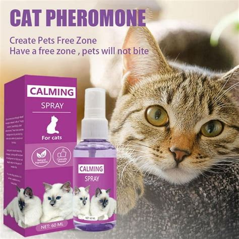 Do pheromones work for aggressive cats?