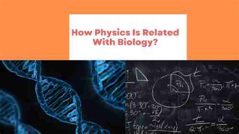 Do physicists understand biology?