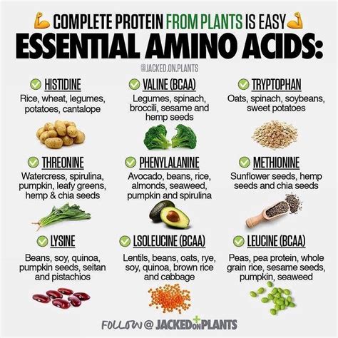 Do plants have all 9 essential amino acids?