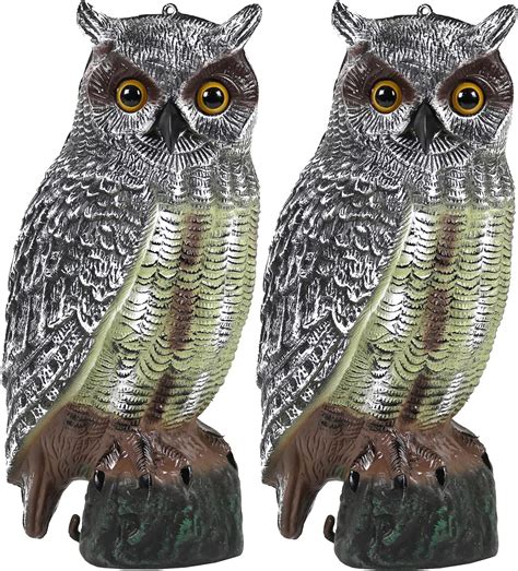 Do plastic owls scare birds away?