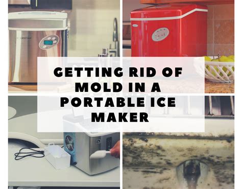 Do portable ice makers get moldy?