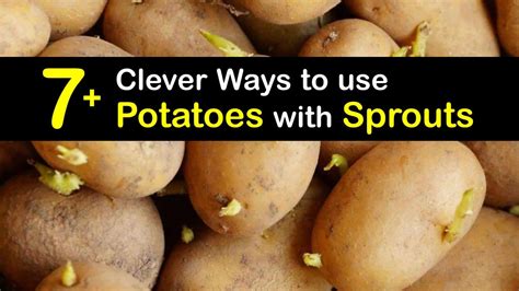 Do potatoes go bad when they sprout?