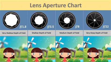Do prime lenses have less distortion?