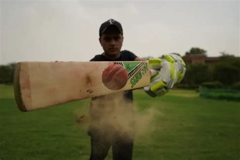 Do professional cricketers knock in their bats?