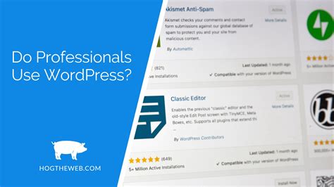 Do professionals use WordPress?