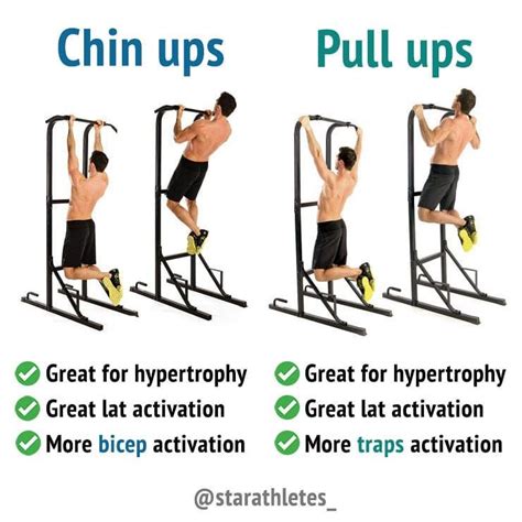 Do pull ups count as biceps?