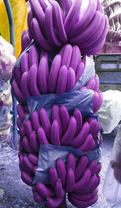 Do purple bananas exist?