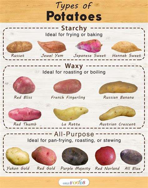 Do purple potatoes have less starch than white potatoes?