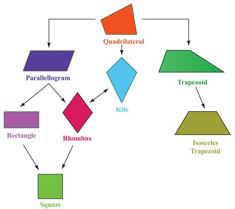 Do quadrilaterals have 12 sides?