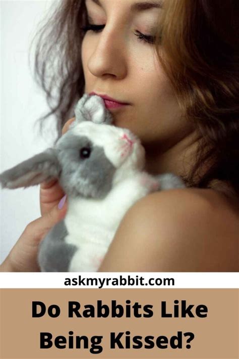 Do rabbits like to be kissed?