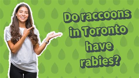 Do raccoons in Toronto have rabies?