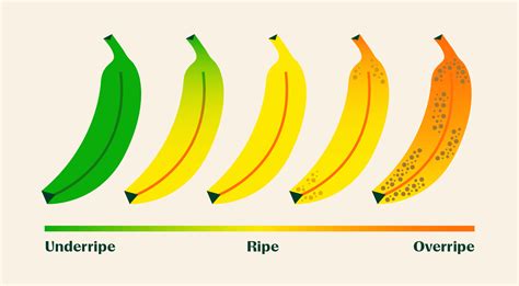 Do red bananas turn yellow?