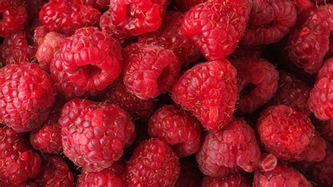 Do red raspberries turn black?