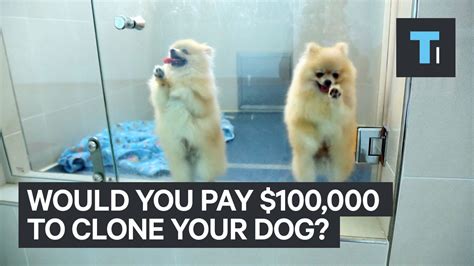 Do rich people clone their pets?