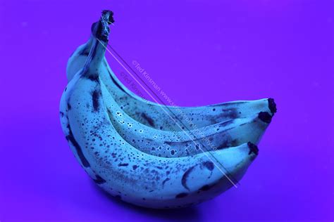 Do ripe bananas glow blue under black light?