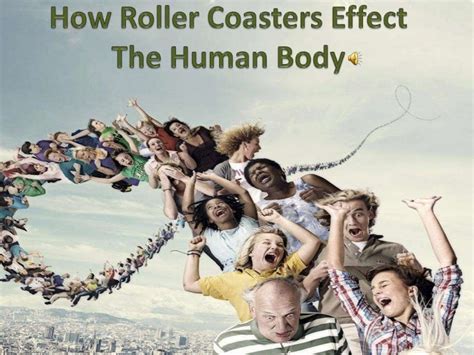 Do roller coasters affect your organs?