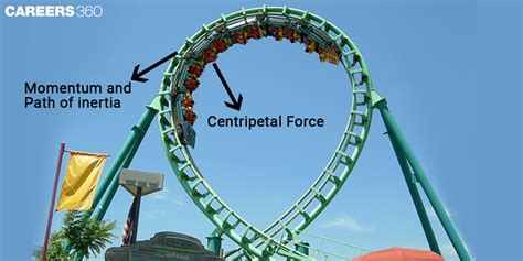 Do roller coasters rely on gravity?