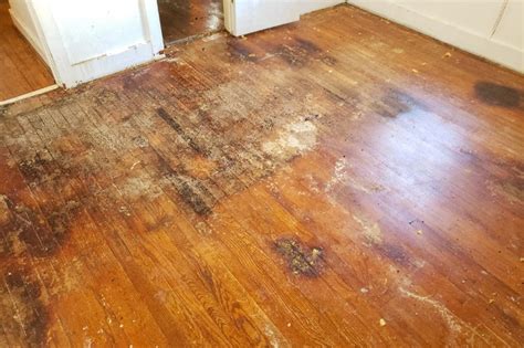 Do rotten floorboards smell?