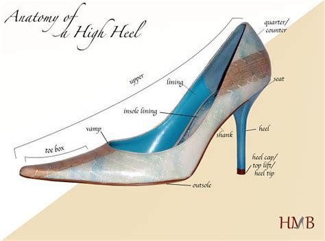 Do shoes need a heel?