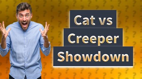 Do sitting cats scare creepers?