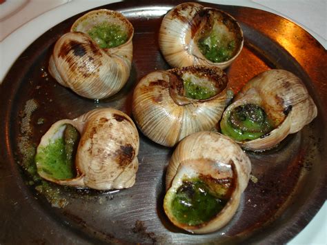 Do snails get cooked alive?