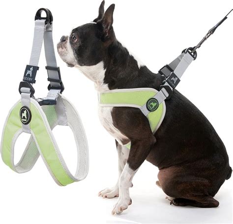 Do some dogs hate harnesses?