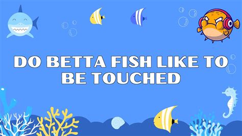 Do some fish like to be touched?