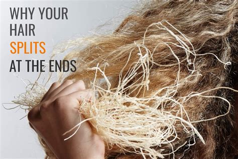 Do split ends mean your hair is unhealthy?