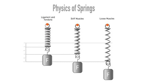 Do springs become less stiff over time?