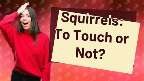 Do squirrels like to be touched?