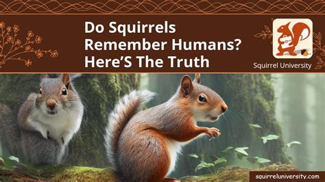 Do squirrels remember things?