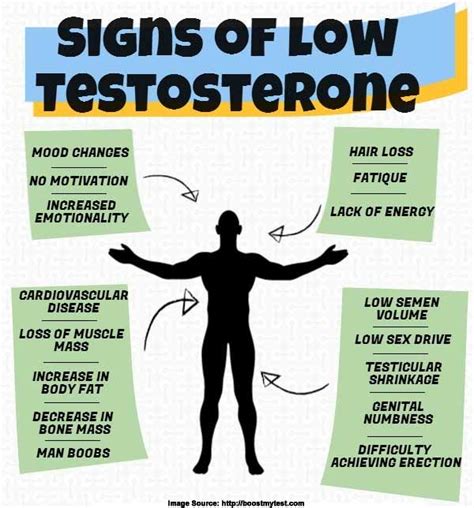 Do stoners have lower testosterone?