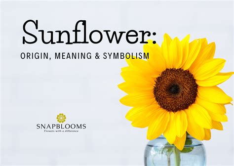 Do sunflowers mean I love you?