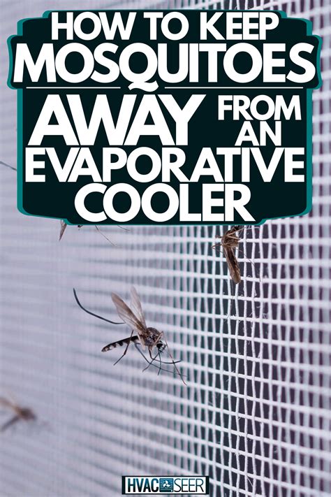 Do swamp coolers attract mosquitoes?