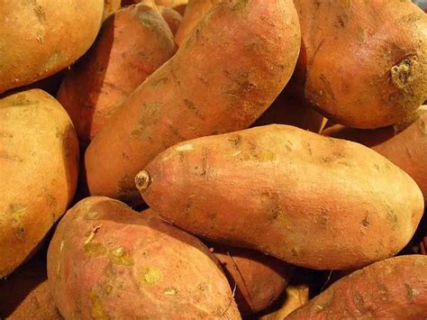 Do sweet potatoes make you gassy?