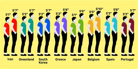 Do taller people have bigger organs?