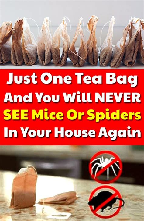 Do tea bags attract mice?