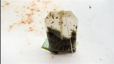 Do tea bags repel insects?