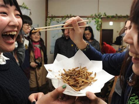 Do the Japanese eat bugs?