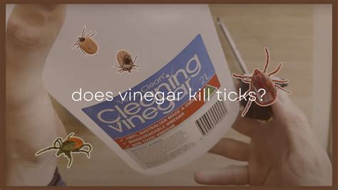 Do ticks hate white vinegar?
