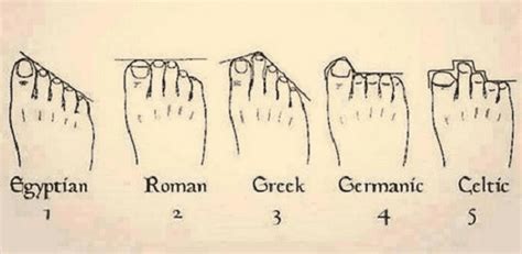 Do toes tell your ancestry?