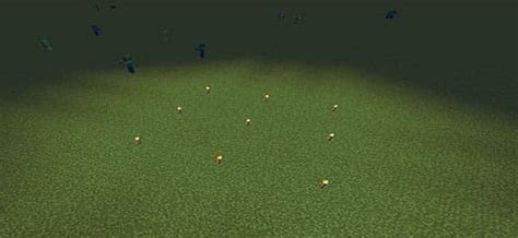 Do torches stop spawning?