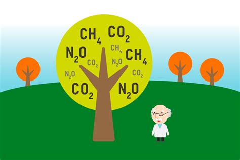 Do trees absorb methane gas?