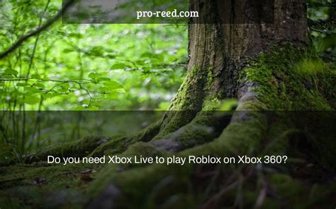 Do u need Xbox Live to play Roblox?