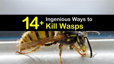 Do wasps get mad if you kill one?